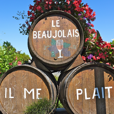 Vignoble du Beaujolais autour de Marchampt Barriques et univers viticole du Beaujolais près de Marchampt