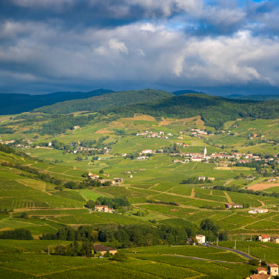 Panorama du Beaujolais vert près de Marchampt Vue panoramique sur les collines et vignobles du Beaujolais vert